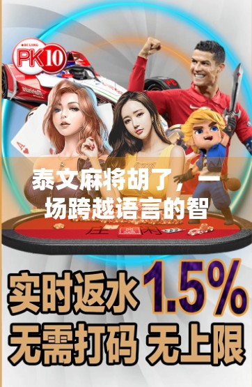 泰文麻将胡了，一场跨越语言的智慧狂欢