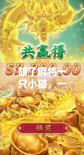 胡了麻将一只小猫，一场意外的牌局引发全网热议